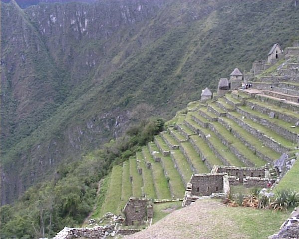 terraced hillside of machu pichu