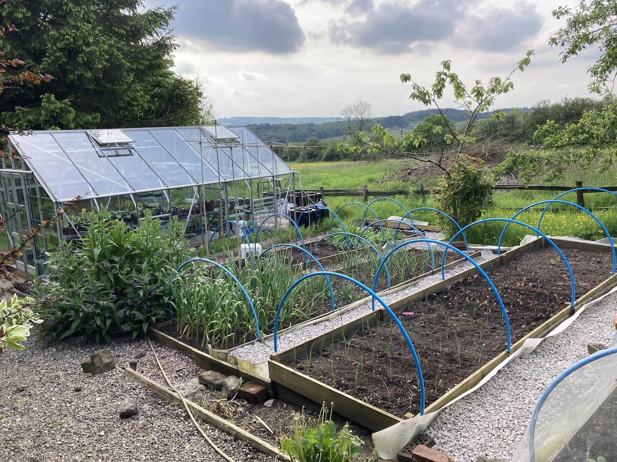 View across vegetable gardens edged with wooden planks, separated by gravel paths with blue hoops towards greenhouse. Fields in background